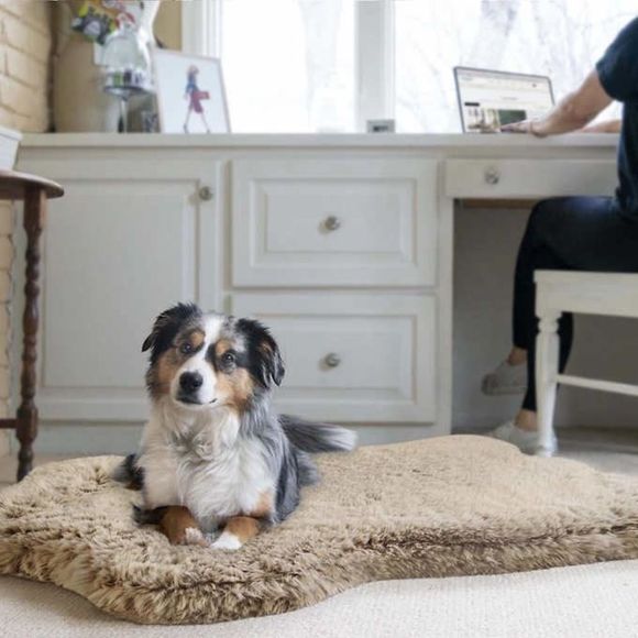 Brentwood Dog Brentwoodoriginals Waterproof Memory Foam Faux Fur